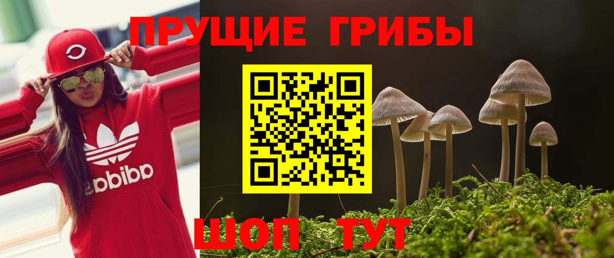 Белореченск  Псилоцибиновые грибы MAGIC MUSHROOMS  Вход с VPN 
